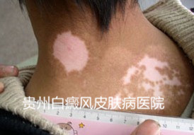 ��������ʲô����ģ�