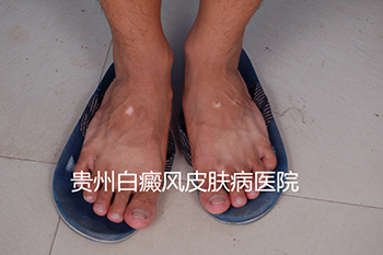 ����������Ϸ�������Щ